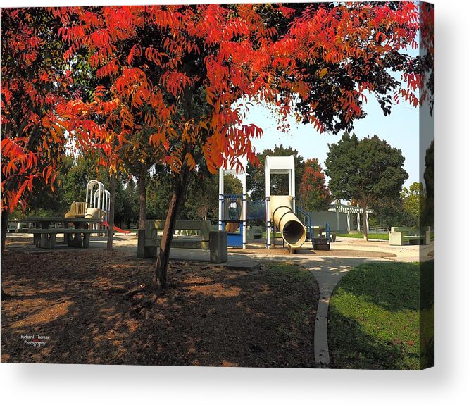 Digital Painting Acrylic Print featuring the photograph Autumn Park Diversity by Richard Thomas