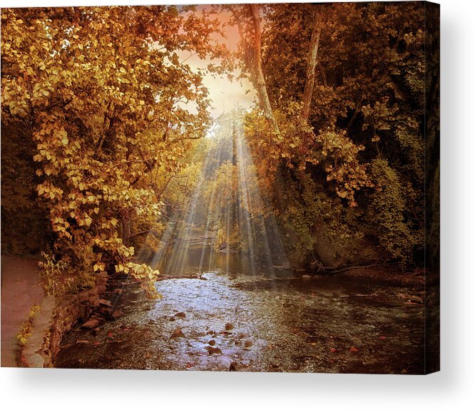 Autumn Acrylic Print featuring the photograph Autumn River Light by Jessica Jenney