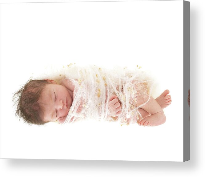 Newborn Acrylic Print featuring the photograph Ava as a Cocoon by Anne Geddes