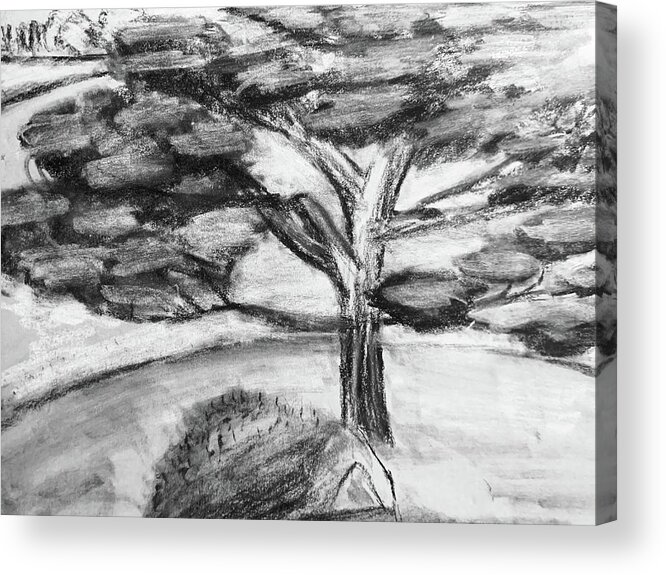 Charcoal Acrylic Print featuring the drawing Away From The Noise by Lisa White