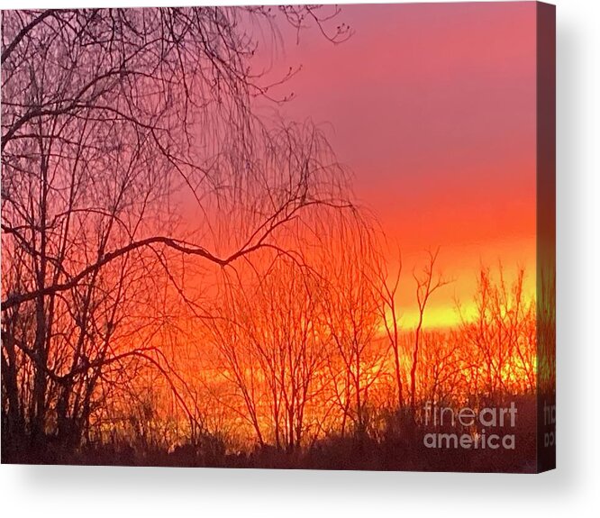  Acrylic Print featuring the photograph BackyardSkyShow by Mary Kobet