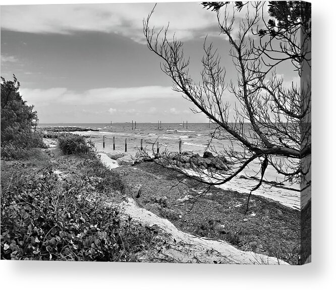 Mighty Sight Studio Florida Landscape Acrylic Print featuring the digital art Bayside Anna Maria Island by Steve Sperry