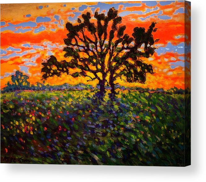 Hdr Acrylic Print featuring the painting Blazing Sunset by Michael Gross