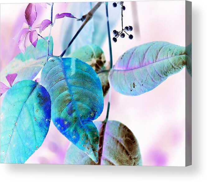 Surreal-nature-photos Acrylic Print featuring the digital art Blue Berries by John Hintz