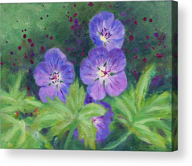 Geranium Acrylic Print featuring the painting Blue Geranium by Maria Meester
