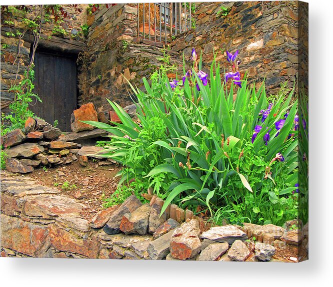 Europe Acrylic Print featuring the photograph Blue Iris in Patones by Nieves Nitta