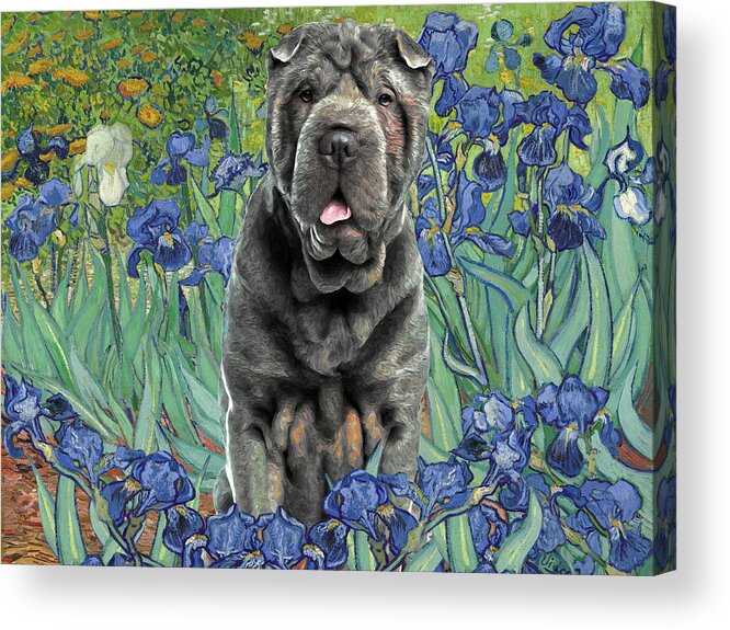 Shar Pei Acrylic Print featuring the painting Blue Shar Pei Art irises Van Gogh Chinese Shar Pei Dog Print by Sandra Sij