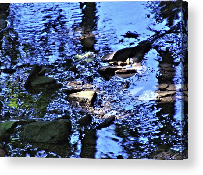 Stream Acrylic Print featuring the photograph Blue Water in the Stream by Christopher Reed