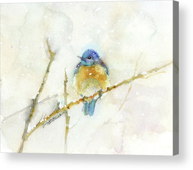 Bluebird Acrylic Print featuring the painting Bluebird in snow by Rebecca Matthews