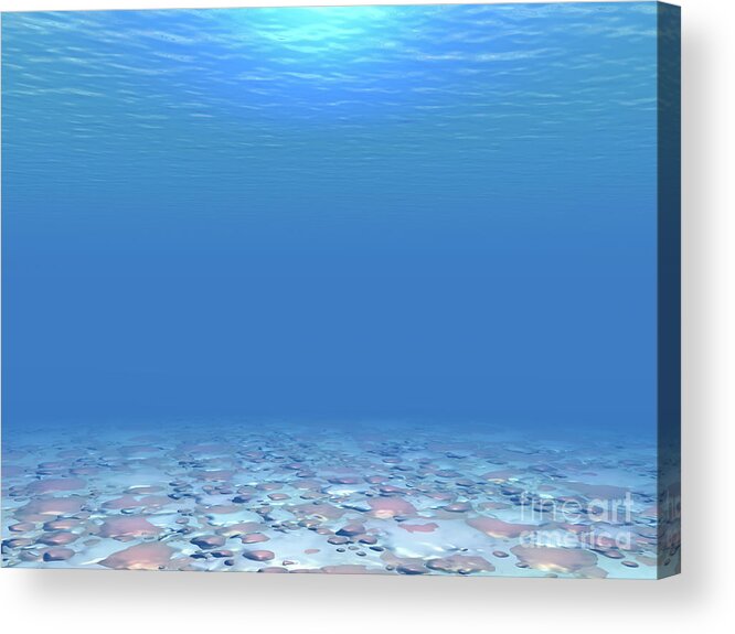 Sea Acrylic Print featuring the digital art Bottom of The Sea by Phil Perkins