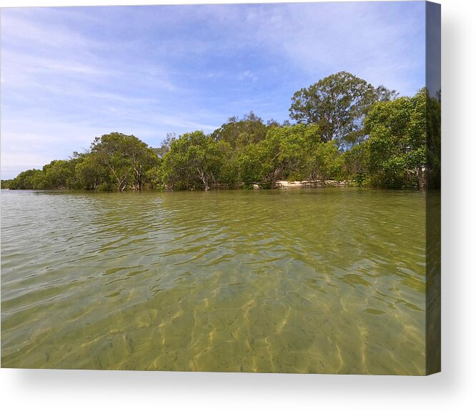 Water Acrylic Print featuring the photograph Bribie Island Mangroves by Chris B