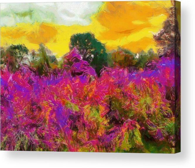 Meadow Acrylic Print featuring the mixed media Brilliant Meadow by Christopher Reed