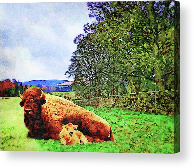 Wildlife Acrylic Print featuring the mixed media British Bison Watercolor Painting by Shelli Fitzpatrick