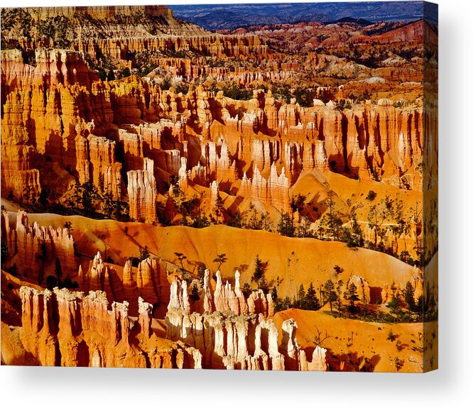 Bryce Canyon Acrylic Print featuring the photograph Bryce Canyon National Park by Geoff McGilvray