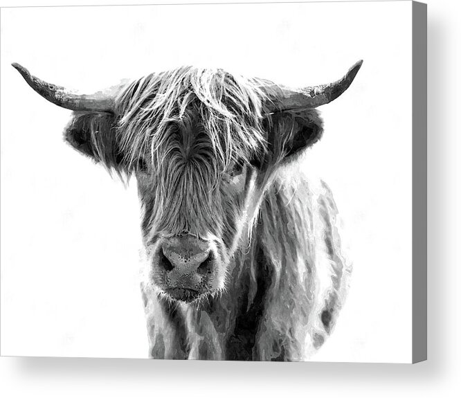 Bull Acrylic Print featuring the photograph Bull Headed by Andrea Kollo