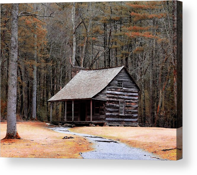 Cabin Acrylic Print featuring the photograph Cabin Getaway by Rick Nelson