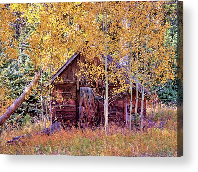 Cabin Acrylic Print featuring the photograph Cabin in the Forest by Bob Falcone