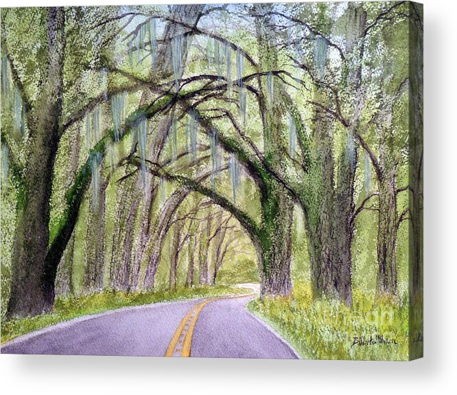 Live Oak Trees Paintings Acrylic Print featuring the painting Canopy Of Live Oak Trees Miccosukee Road Tallahassee FL by Bill Holkham