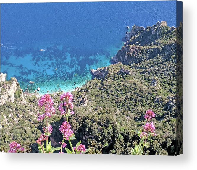 Capri Acrylic Print featuring the photograph Capri, sea and flowers by Yvonne Jasinski