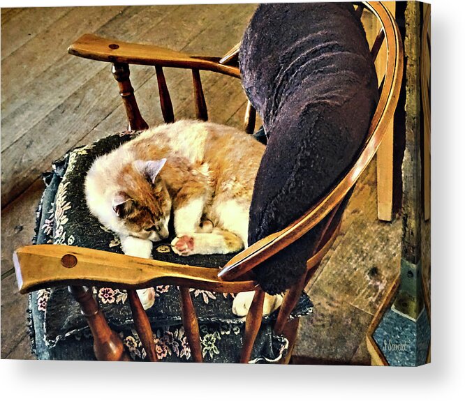 Cat Acrylic Print featuring the photograph Cat Taking a Nap by Susan Savad