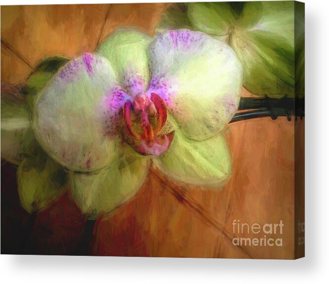 Orchids Acrylic Print featuring the photograph Chartreuse Orchid Paint by Diana Mary Sharpton