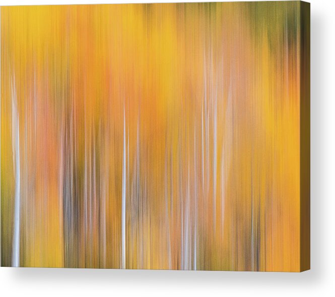 Abstract Acrylic Print featuring the photograph CO Abstract 811646 by David Downs