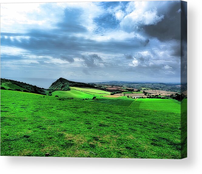 Uk Acrylic Print featuring the photograph Coastal grass by Christopher Maxum