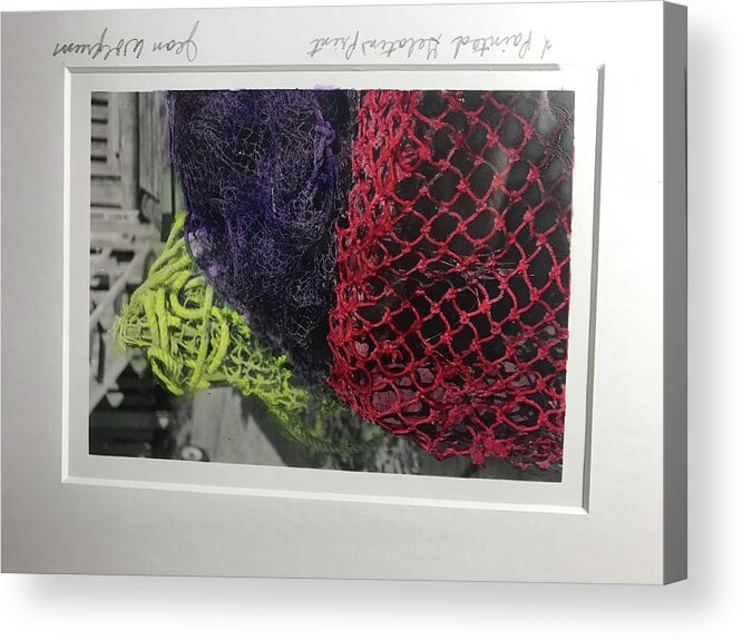 Nets Acrylic Print featuring the photograph Color Nets by Jean Wolfrum
