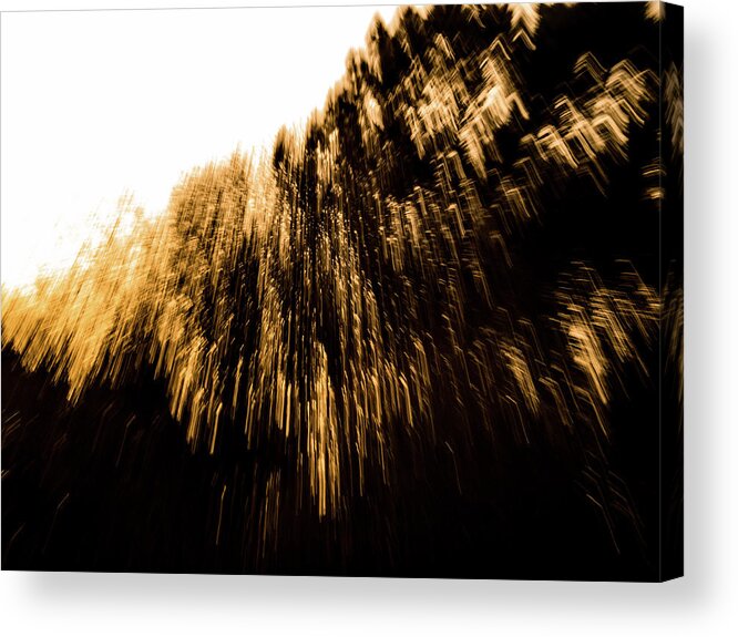 Fine-art Acrylic Print featuring the photograph Concert Of Nature # 8 by Jorg Becker