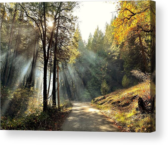 Photograph Acrylic Print featuring the photograph Country Lane Leading Into Autumn by Beverly Read
