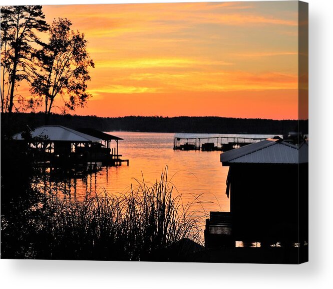 Orange Acrylic Print featuring the photograph Cove Color Morning by Ed Williams