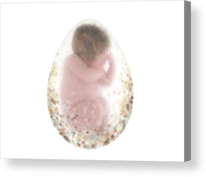 Creation Acrylic Print featuring the photograph Creation #1 by Anne Geddes