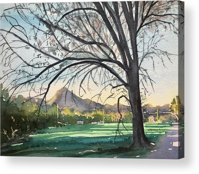 Ladyface Acrylic Print featuring the painting Dappled afternoon Light - Reagan Ranch by Luisa Millicent