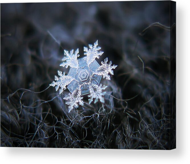 Snowflake Acrylic Print featuring the photograph Dark side by Alexey Kljatov