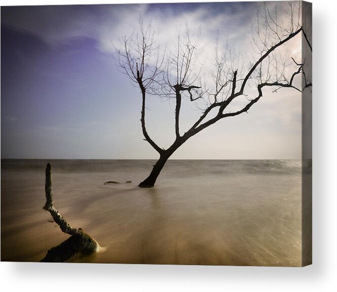 Tranquility Acrylic Print featuring the photograph Dead tree by Bernd Schunack