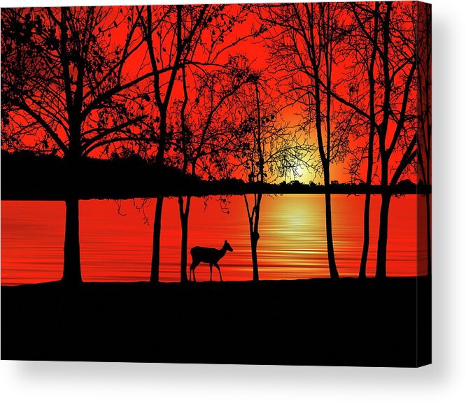 Deer Acrylic Print featuring the photograph Deer at Sunset by Andrea Kollo