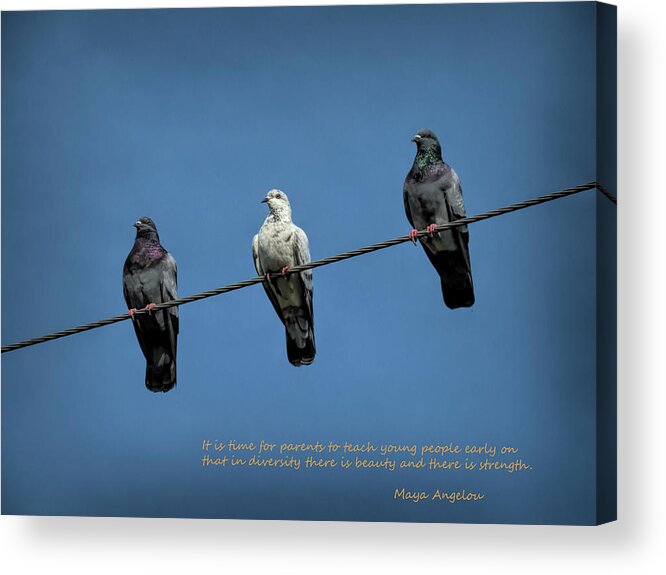 Diversity Acrylic Print featuring the photograph Diversity by Mitch Spence