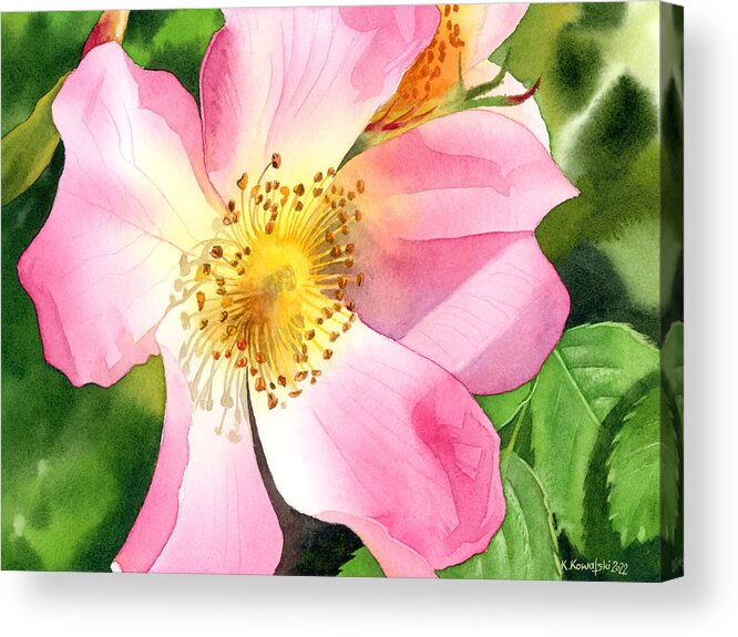 Rose Acrylic Print featuring the painting Dog Rose by Espero Art
