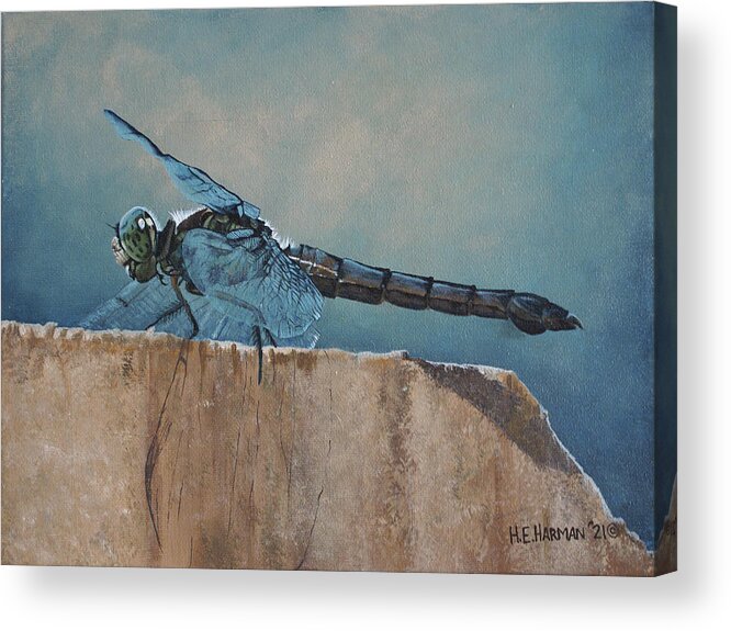 Dragonfly Acrylic Print featuring the painting Dragonfly by Heather E Harman