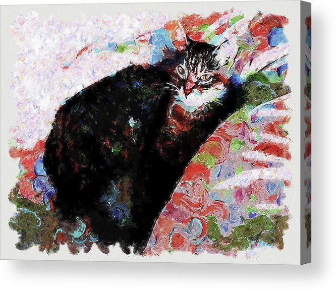 American Acrylic Print featuring the painting Dreamy Colorful Painting American Shorthair Cat by Custom Pet Portrait Art Studio