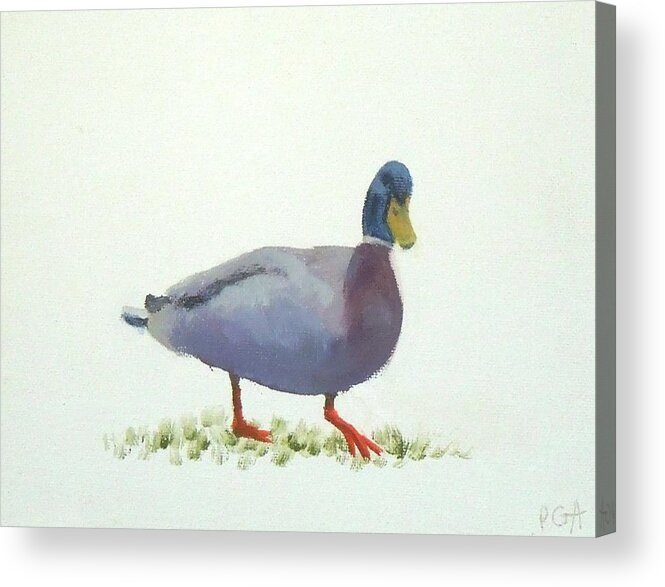 Duck Acrylic Print featuring the painting Duck I by Phyllis Andrews