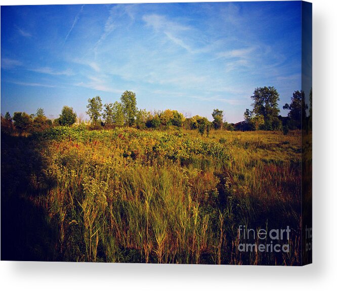 Nature Acrylic Print featuring the photograph Early Autunm Sun On The Prairie by Frank J Casella