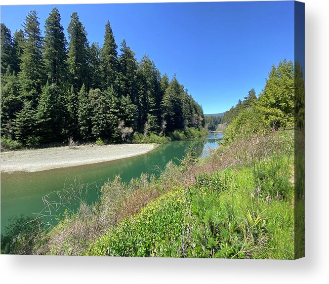 Eel River Acrylic Print featuring the photograph Eel River by Daniele Smith