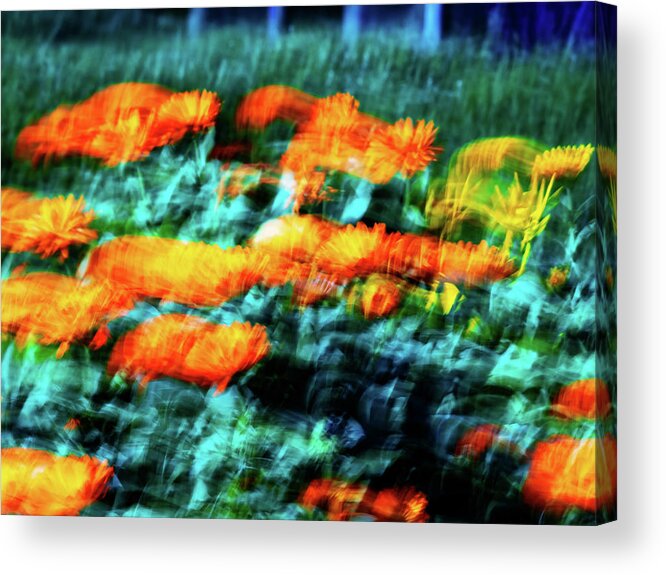 Spring Acrylic Print featuring the photograph Eveil Du Printemps # 37 by Jorg Becker