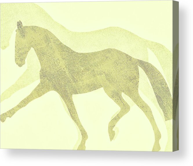 Art Acrylic Print featuring the photograph Extended Duet by Dressage Design