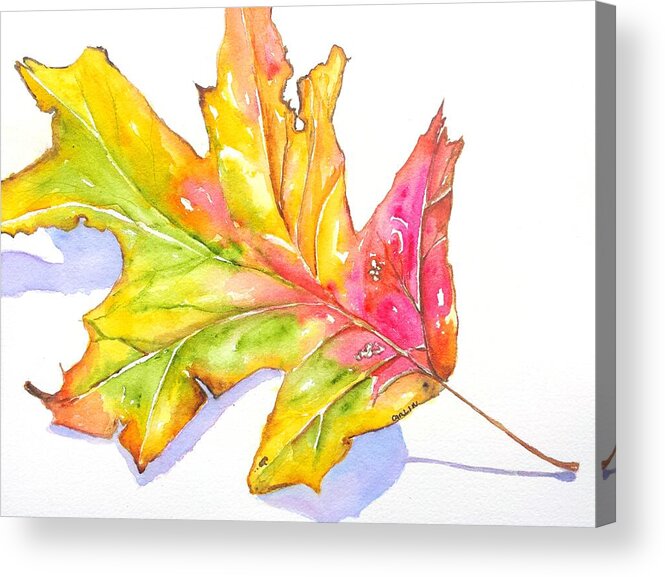 Leaf Acrylic Print featuring the painting Fall Color Leaf with Shadow	 by Carlin Blahnik CarlinArtWatercolor