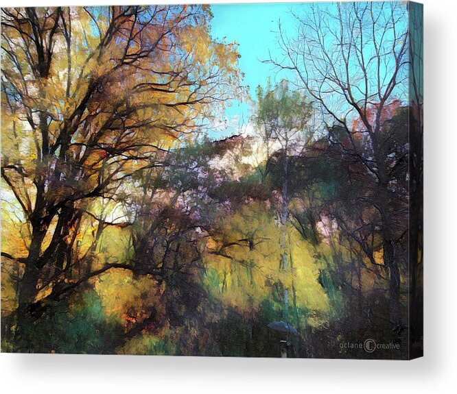 Woods Acrylic Print featuring the photograph Fall Colors In The Backyard by Tim Nyberg
