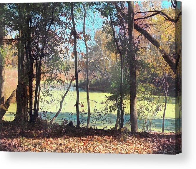 Woods Acrylic Print featuring the photograph Fall in the Marsh by Tim Nyberg