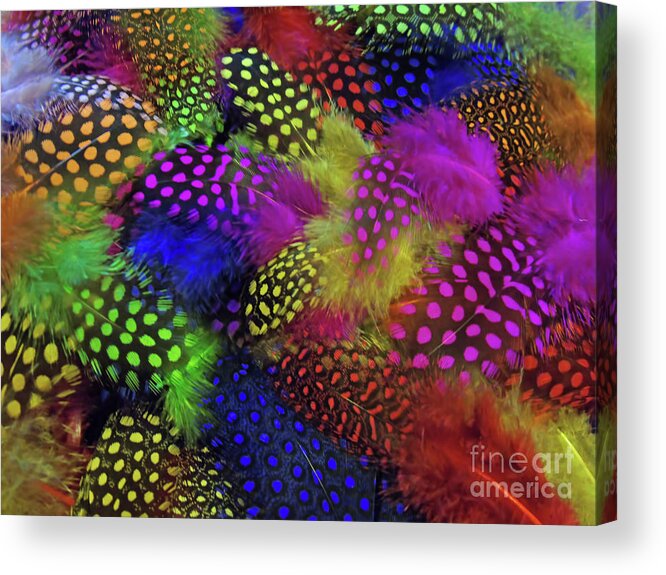Guinea Acrylic Print featuring the photograph Feather Art 11 by D Hackett