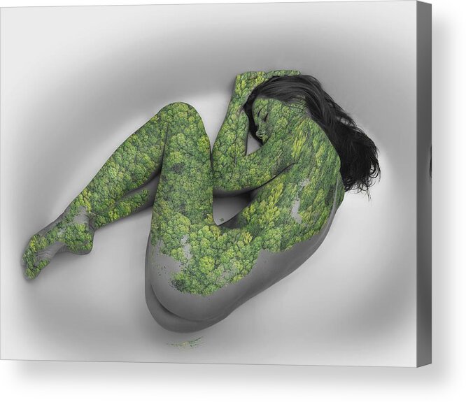 Nakedsoft Acrylic Print featuring the mixed media Fetal Geometry OIFII by Stephane Poirier